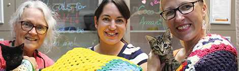 The purrfect donation