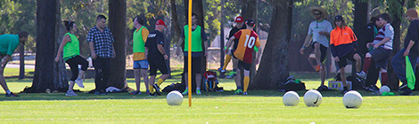 Upgrade for Wellington