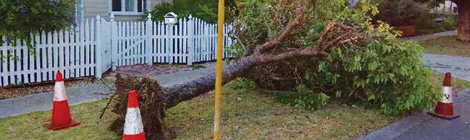 Fibre to the&nbsp;curb