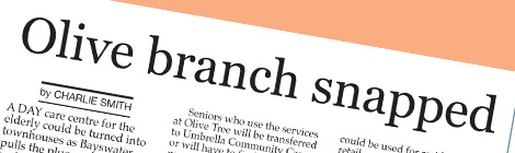 Olive branch snapped