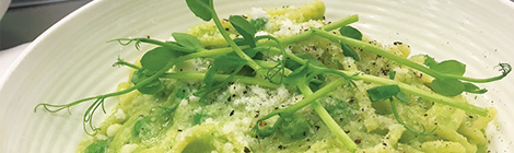 Hop in to&nbsp;Francoforte