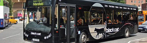 Black cats good luck in the witching&nbsp;hour