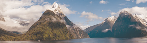 Support Local: Sail away with me