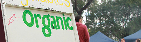 Green light for&nbsp;markets