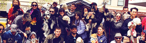 It’s wags all round