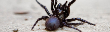 Health: Putting the bite on skin&nbsp;cancer