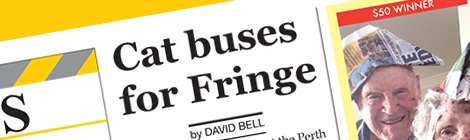 Cat buses for&nbsp;Fringe