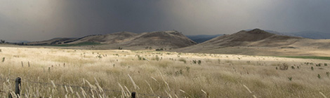 Tassie’s smokin’