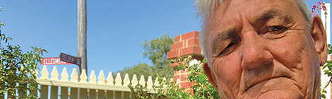 Bird-brained thieves