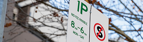 Tea with the tillermen