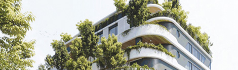 Green shoots of&nbsp;confidence?