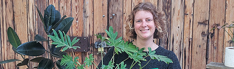 Perennial millennials