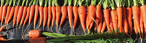 Bloom – Your new gardening&nbsp;feature