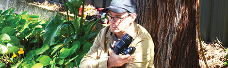 SAT win for tree&nbsp;huggers