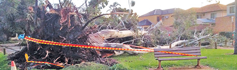 Gone in a&nbsp;flash