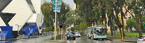 Urban forest is becoming&nbsp;myth