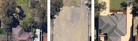 Locals happy with height for trees