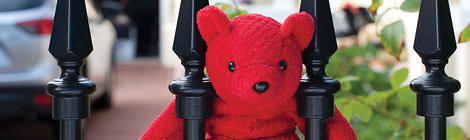 Bearing up under&nbsp;Covid