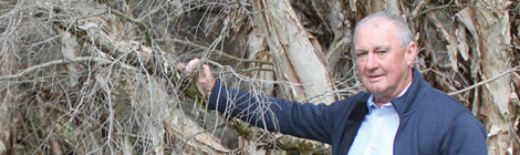 Plan to save&nbsp;park