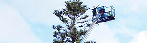 The Rev’s a real&nbsp;star