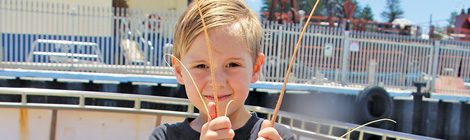 Call to double boat cray&nbsp;sales