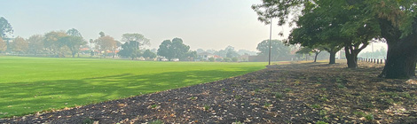 Neighbours angry over broken woodchip&nbsp;promise