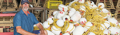 The skills that got&nbsp;away