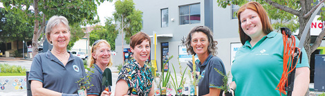 Planting on the&nbsp;verge