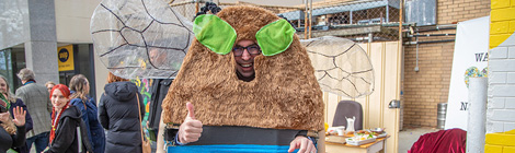 Buzz about beehaviour