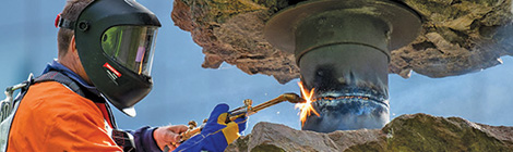 NAVA backs Holmes à Court plan