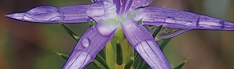 More than a snap in Coolbinia&nbsp;bush