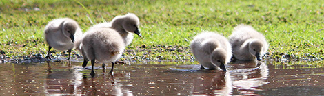 Oh baby, it’s spring