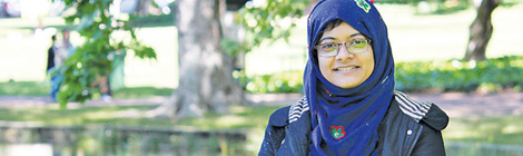 New study into turtle mystery