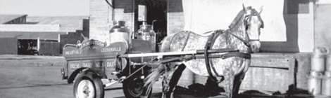 Straight from the horse’s mouth