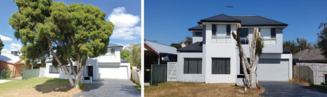 Staff: No evidence to back loppers’ claims