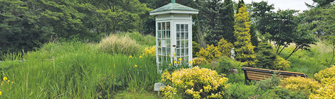 Comfort on the&nbsp;wind