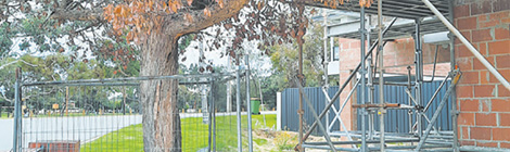 Baysy set to drop tree&nbsp;opt-in