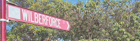 The shady character dividing a&nbsp;street