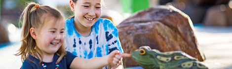 Water wonderland ready for&nbsp;kids