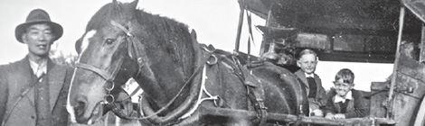 When market gardens&nbsp;sprouted