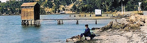 AI giving old Perth a splash of&nbsp;colour