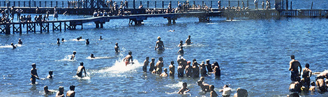 No more creepy crawleys