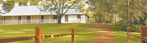 Cultivating knowledge