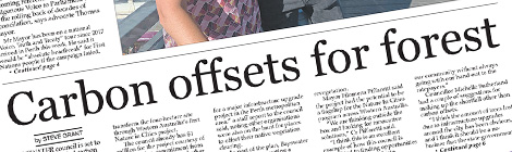 Carbon offsets for forest