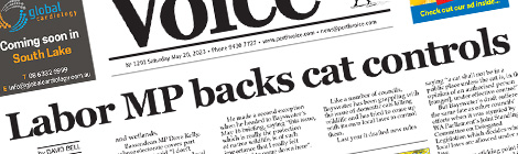 Labor MP backs cat&nbsp;controls