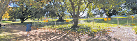 Fences to tackle borer 