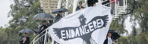 Black skies, but not the kind they&nbsp;want