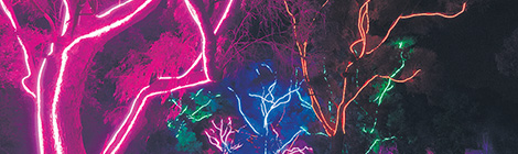 Light stroll a big&nbsp;hit