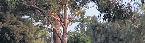 Do as I say, not as I&nbsp;do