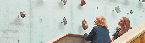 Report into art scheme stall